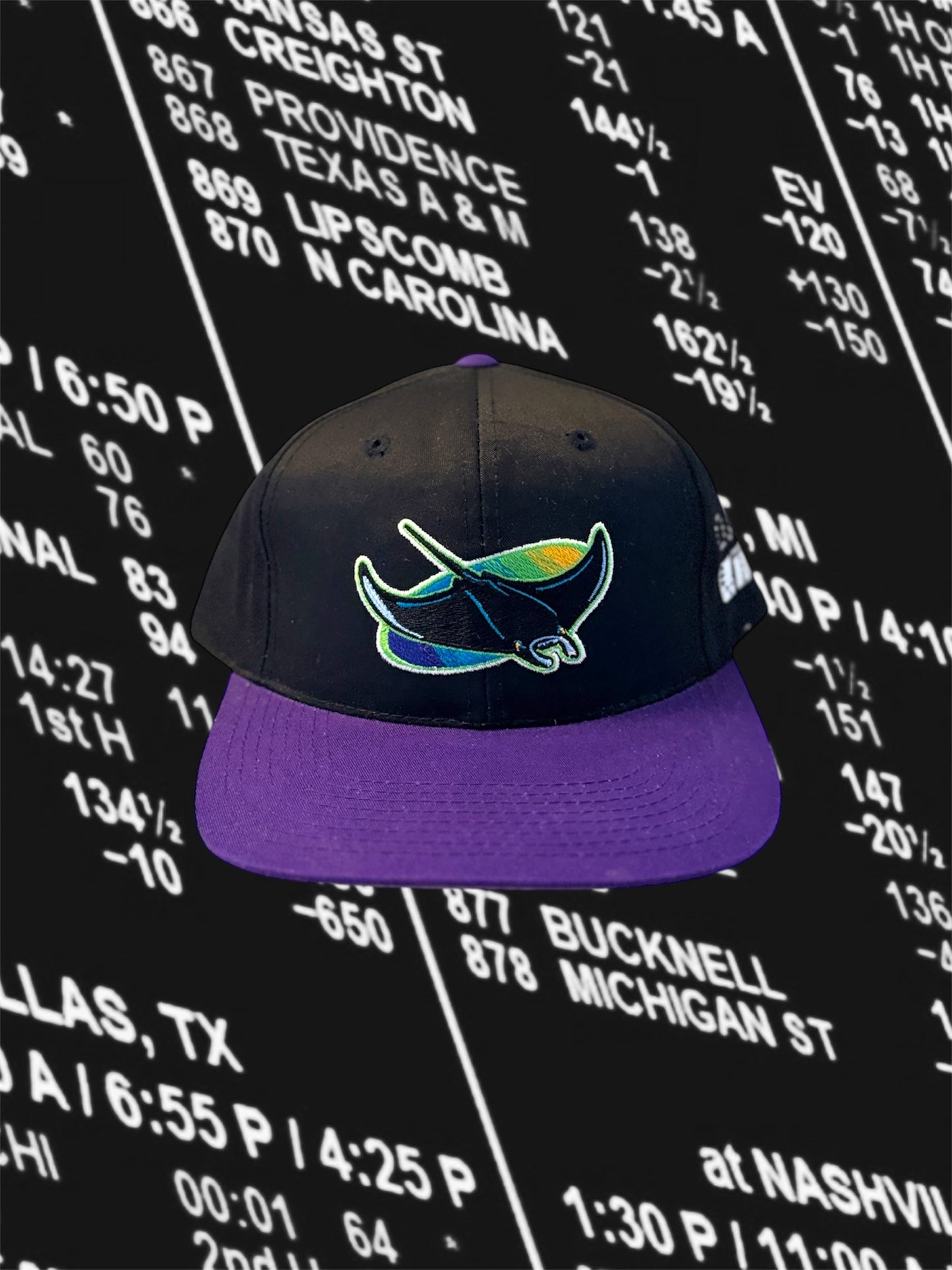 Tampa Bay Rays